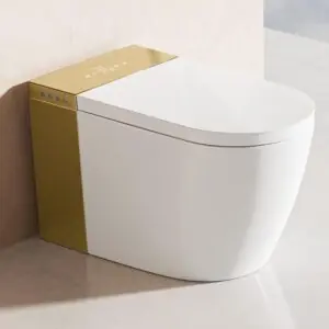 Image 1 of BONSAM smart toilet review