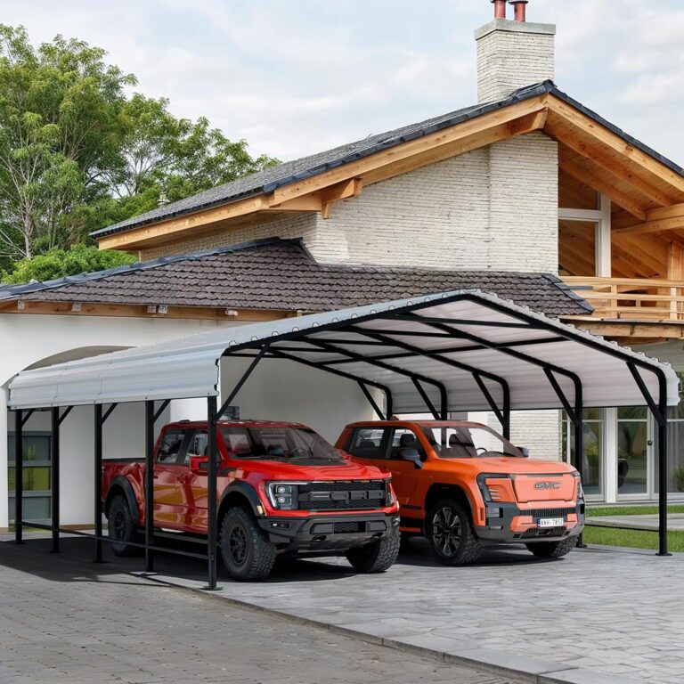 Image 1 of Shintenchi 20x20 carport review