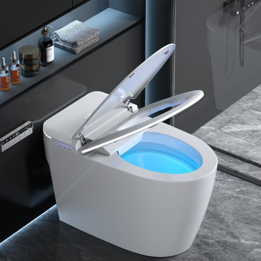 Loupusuo smart toilet review - detailed features and technical specifications